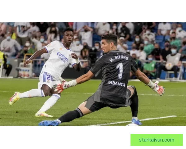 费内巴切球员近期表现稳健，整体状态持续提升