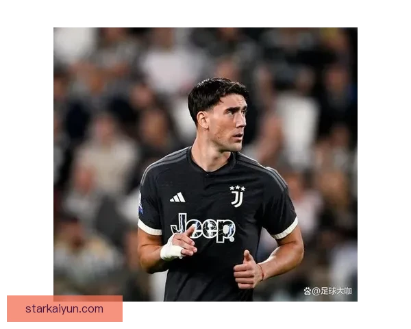 布雷默成尤文不败功臣，防守表现稳健